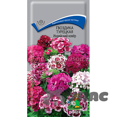 Гвоздика турецкая Индийский ковер Поиск Ц
