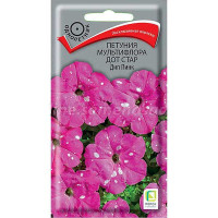 Петуния Дот Стар Ред Поиск Ц