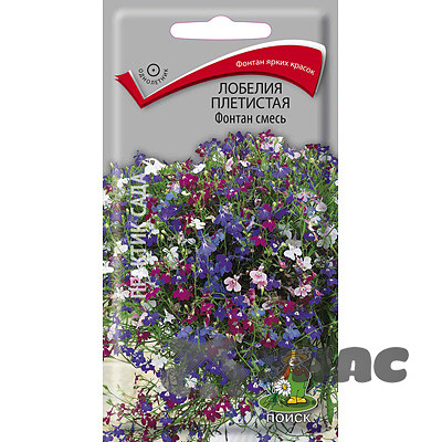 Лобелия Смесь фонтан Поиск Ц