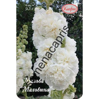 К Мальва многол. Мальвина белая