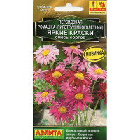 Ромашка персид. Яркие краски смесь Аэлита Ц х10