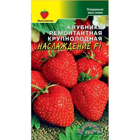 Клубника Наслаждение ЦветСад Ц