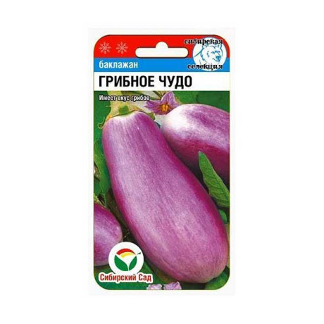 Баклажан Грибное чудо СибСад Ц