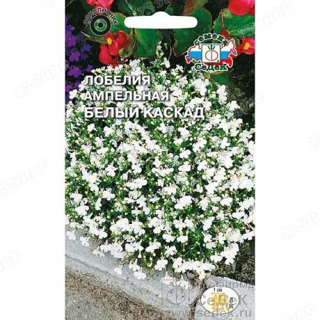 Лобелия Белый каскад ампельная Седек Ц
