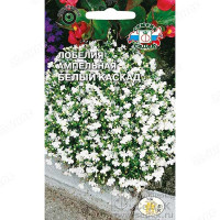 Лобелия Белый каскад ампельная Седек Ц
