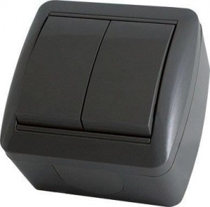 TDM Селигер выкл. ОУ 2 кл. IP44 10А графит (10!) SQ1818-0302