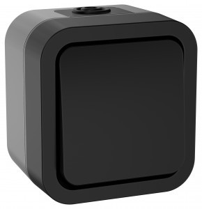 IEK TORS переключатель 1 кл. ОУ 10А IP55 TS101 графит TS-V10-0-10-55-K53