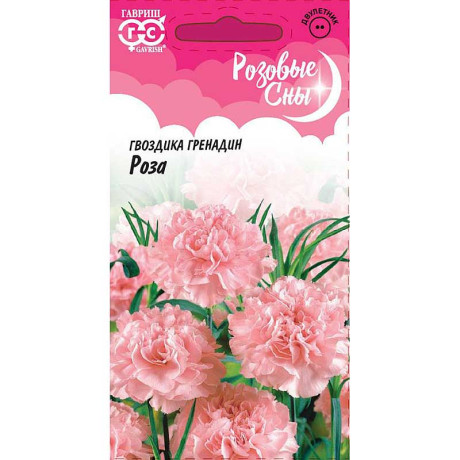 Гвоздика садовая гренадин Роза Гавриш Ц