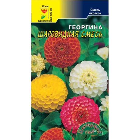 Георгин Шаровидная смесь ЦветСад Ц