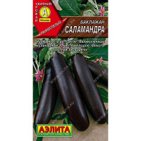 Баклажан Саламандра Аэлита Ц