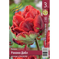 Тюльпан Рококо Дабл 10/11 3 шт