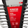 Набор ключей комбинированных, 6-19 мм, 8 шт, CrV, матовый хром Matrix