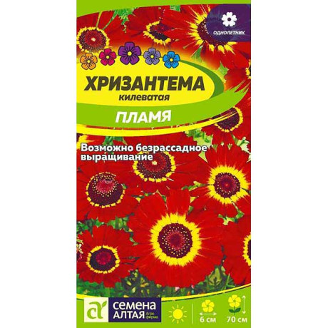 Хризантема Пламя СемАлт Ц