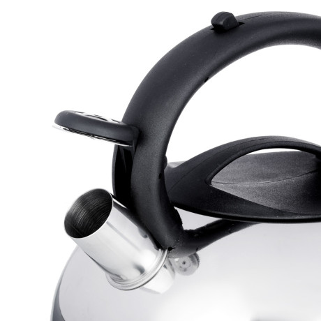 VETTA Чайник стальной 3,0л "Франсуа", индукция