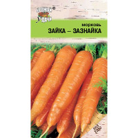 Морковь Зайка-Зазнайка Урожай у дачи Ц