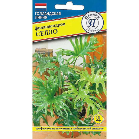 Филодендрон Селло Престиж Ц