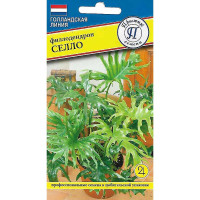 Филодендрон Селло Престиж Ц