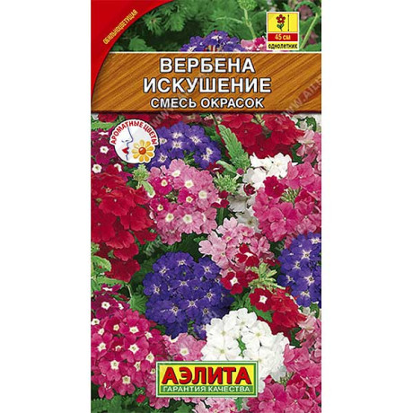 Вербена Искушение Аэлита Ц