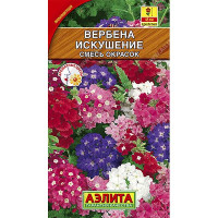 Вербена Искушение Аэлита Ц