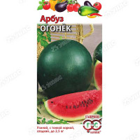 Арбуз Огонек Гавриш Ц