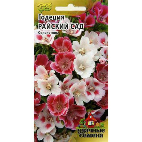 Годеция Райский сад Удачные семена Гавриш Ц