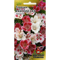 Годеция Райский сад Удачные семена Гавриш Ц