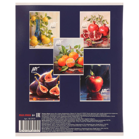 Тетрадь 48л. в клетку, офсет, обл. мел.картон, скрепка, твин лак, микс