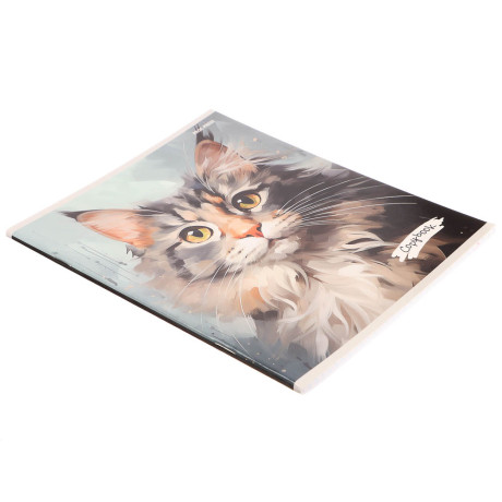 Тетрадь 48л. в клетку, офсет, обл. мел.картон, скрепка, твин лак, микс