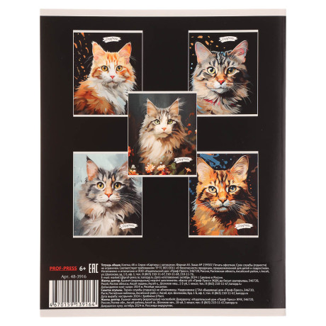 Тетрадь 48л. в клетку, офсет, обл. мел.картон, скрепка, твин лак, микс