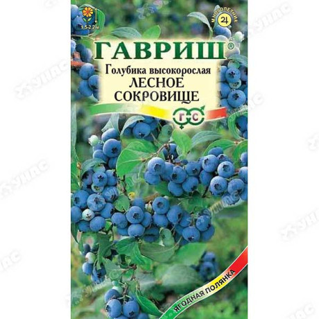 Голубика Лесное сокровище Гавриш Ц