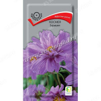 Космея Барышня Поиск Ц