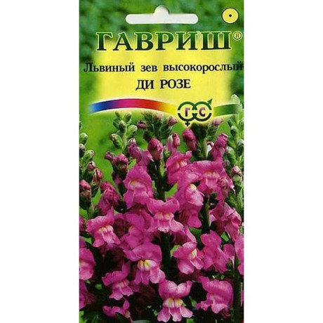Львиный зев Ди розе Гавриш Ц