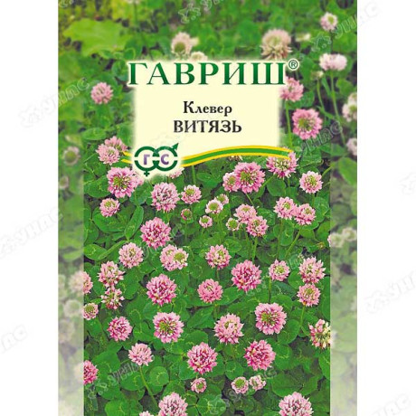 Клевер Витязь луговой Гавриш Ц