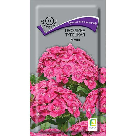 Гвоздика турецкая Ясмин Поиск Ц