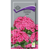 Гвоздика турецкая Ясмин Поиск Ц