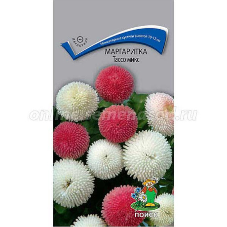 Маргаритка Тассо микс Поиск Ц
