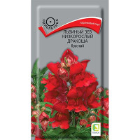 Львиный зев Дракоша Красный Поиск Ц