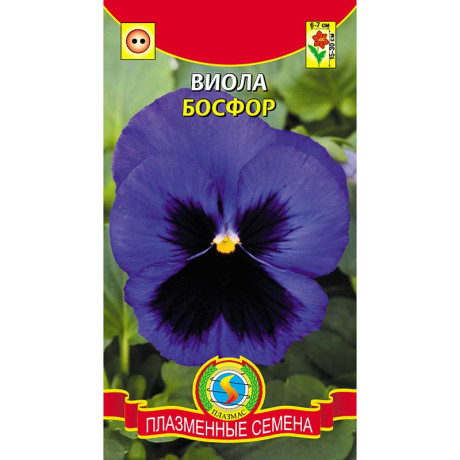 Виола Босфор Плазма Ц