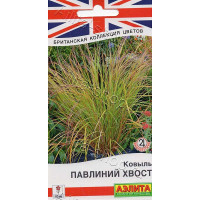 Ковыль Павлиний хвост Аэлита Ц х10