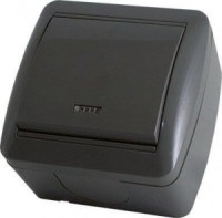 TDM Селигер выкл. ОУ 1 кл. (инд.) IP44 10А графит (10!) SQ1818-0303