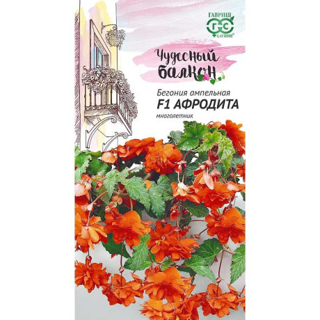 КОМ Бегония Афродита гранул (Чудес.балкон)Гавриш Ц