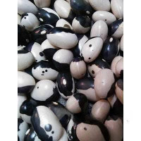 Фасоль Инь-Ян кустовая НК Цх10