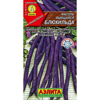 Фасоль Блюхильда вьющаяся Аэлита Ц