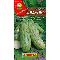 Кабачок Шмель цукини Аэлита Ц