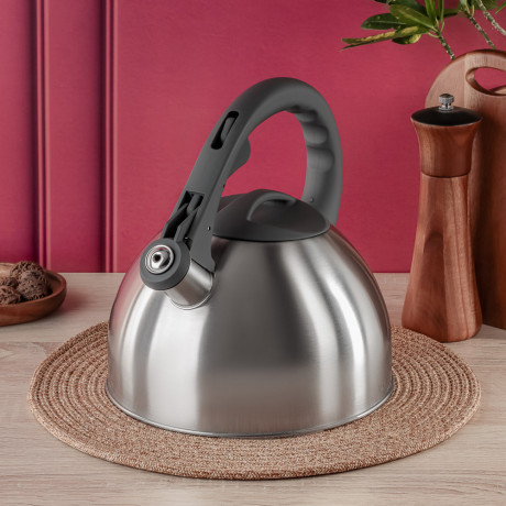 VETTA Чайник стальной 2,6л "Вена", индукция