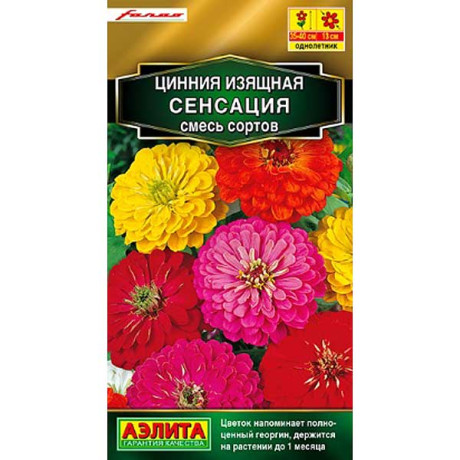 Циния Сенсация, смесь Аэлита Ц