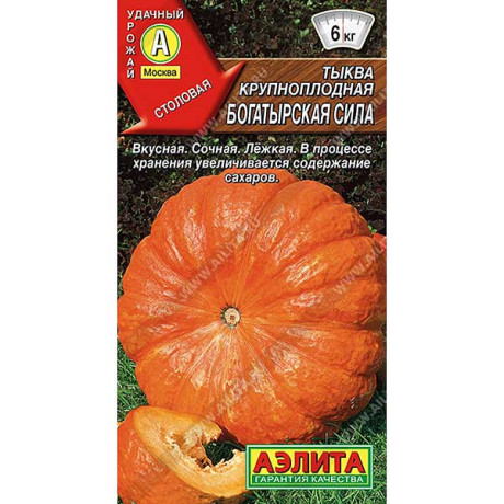 Тыква Богатырская сила крупноплодная Аэлита Ц