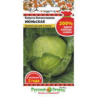 Капуста Июньская  НК Ц
