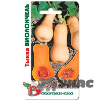 Тыква Виолончель Биотехника Ц