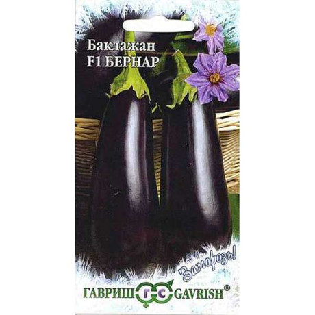 Баклажан Бернар Гавриш Ц